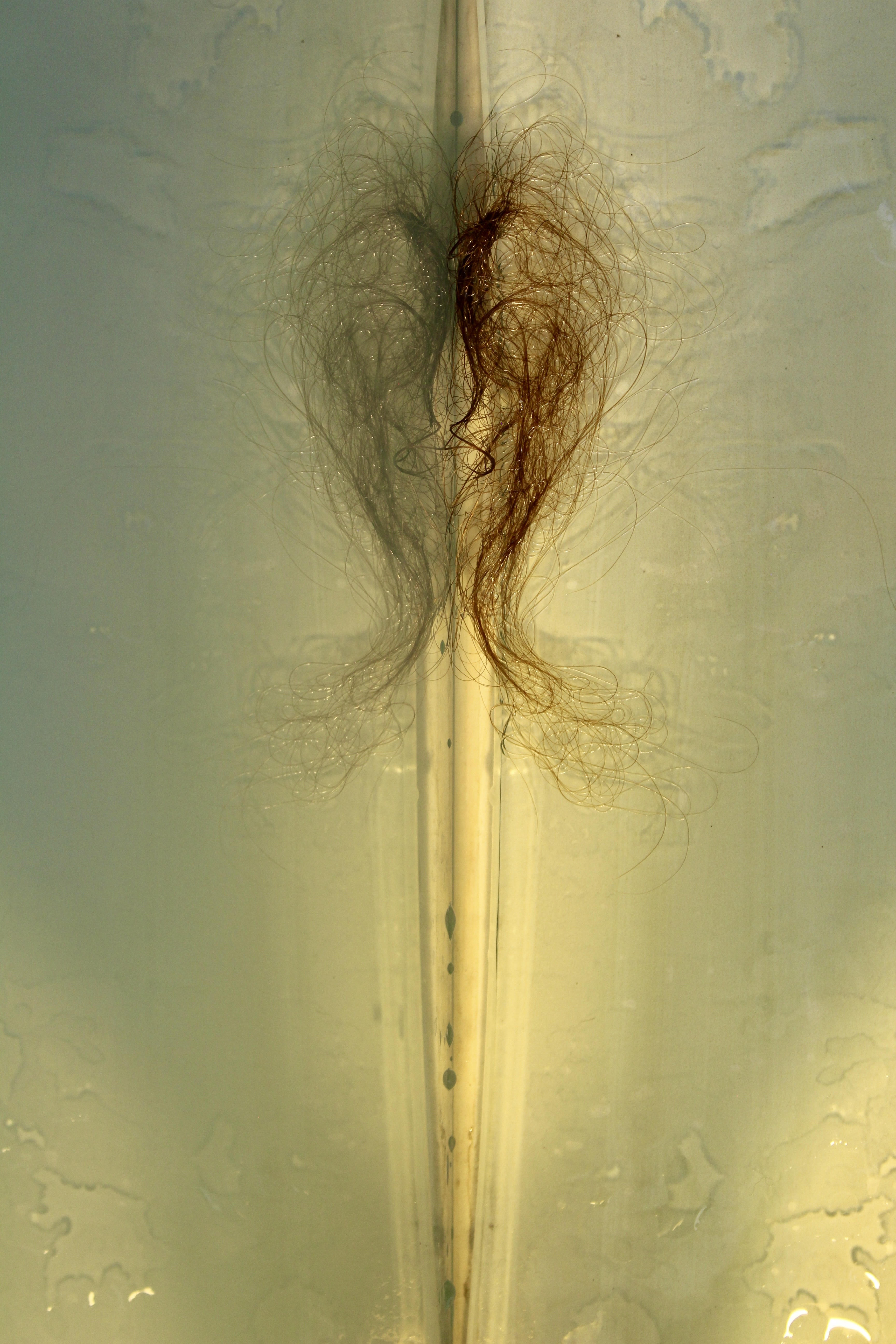 Adela Inés González